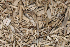 biomass boilers Sherfin